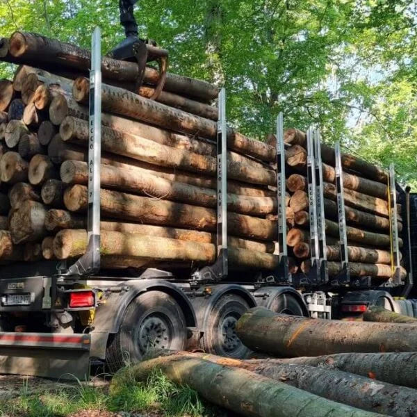 Tronchi di Conifere – Carico Completo su Camion da 50 Steri – Certificato PEFC