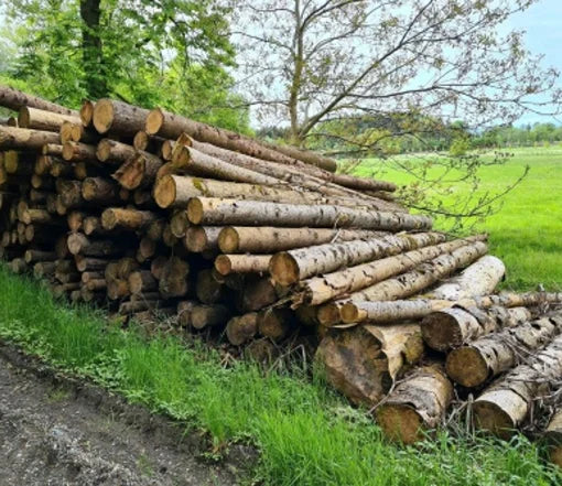 Tronchi di Abete – Carico Completo su Camion da 50 Steri – Certificato PEFC